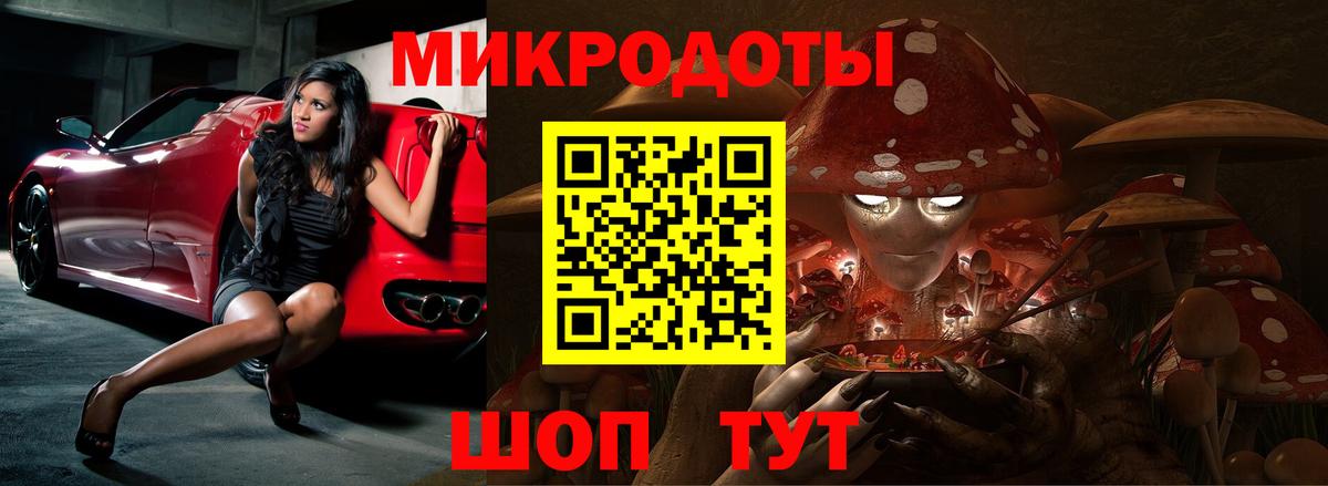 Свободный  купить закладку  Вход с VPN  Галлюциногенные грибы Psilocybine cubensis 